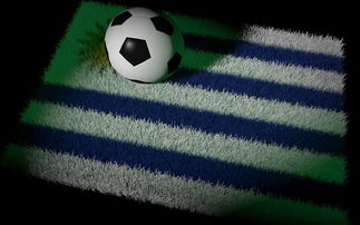 华体会网页登录-拓展边界:足球在“一带一路”国家的推广策略