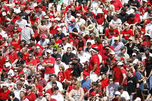 华体会app-体育赛事观众行为特征与管理对策，观众对体育赛事的意义